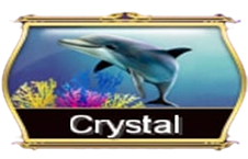 SCR888